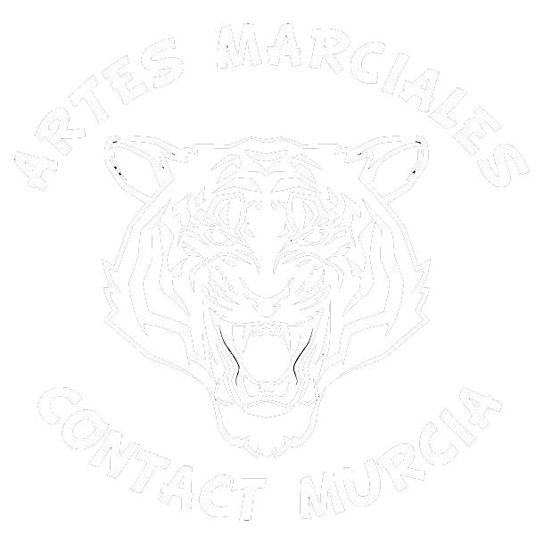 Contact Murcia MMA - Gimnasio de artes marciales mixtas en Murcia con octógono profesional