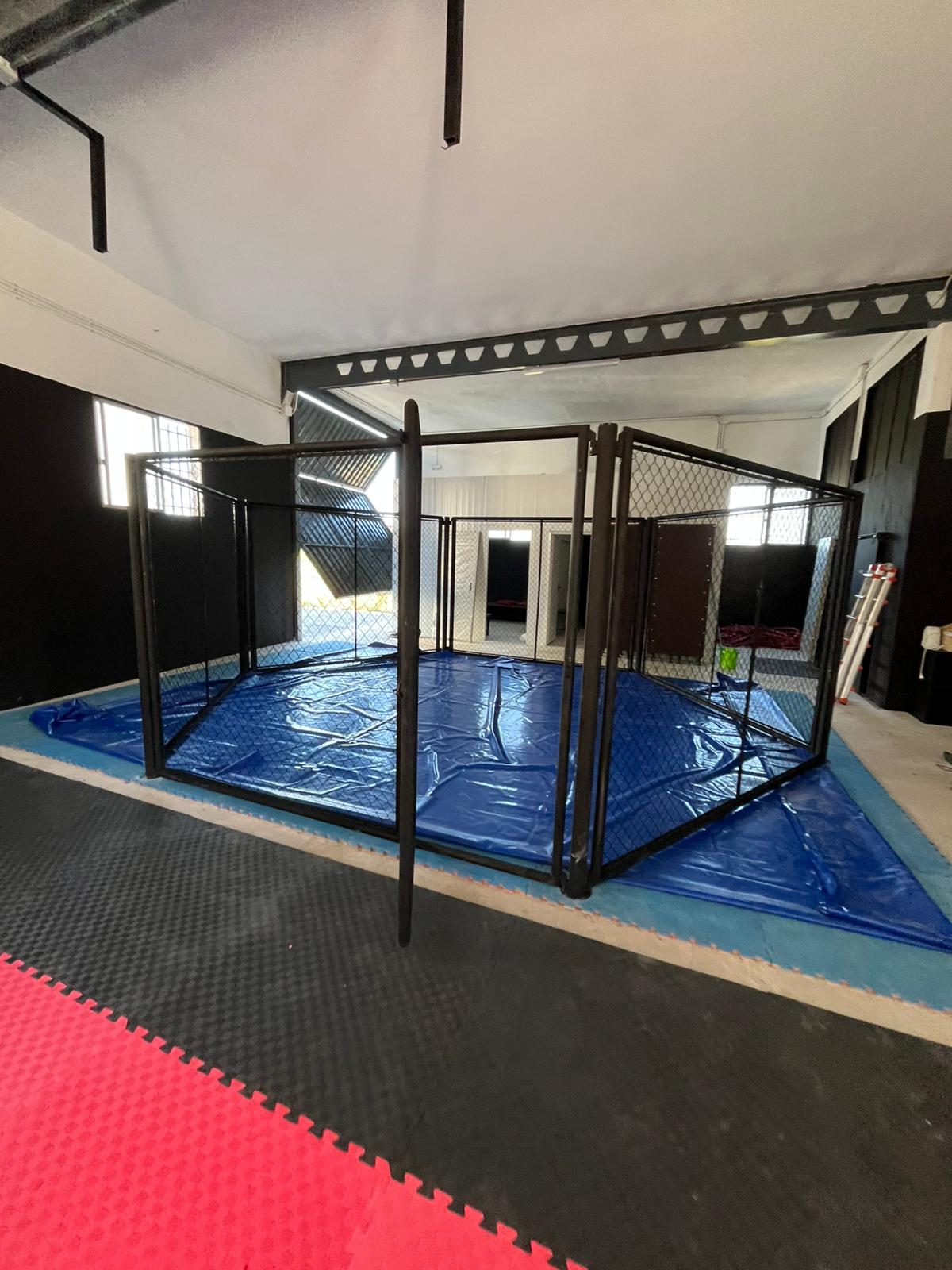 Octógono profesional de MMA